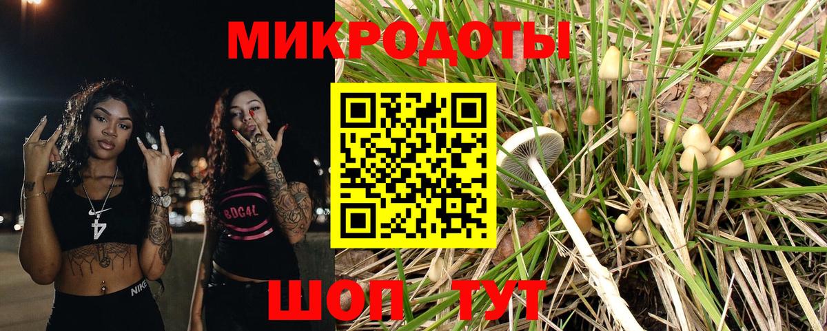 Тимашёвск  Галлюциногенные грибы Magic Shrooms  Вход с VPN  Галлюциногенные грибы Psilocybe 