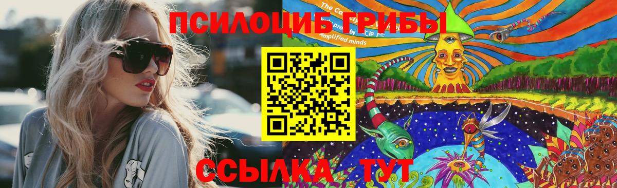 Псилоцибиновые грибы ЛСД Тимашёвск